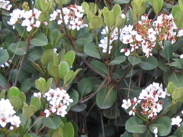 click to see other photos